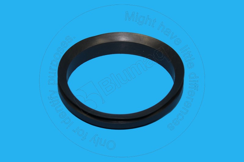 2U-5386 Seal-v for BLUMAQ