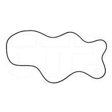 8D5096 Seal O Ring