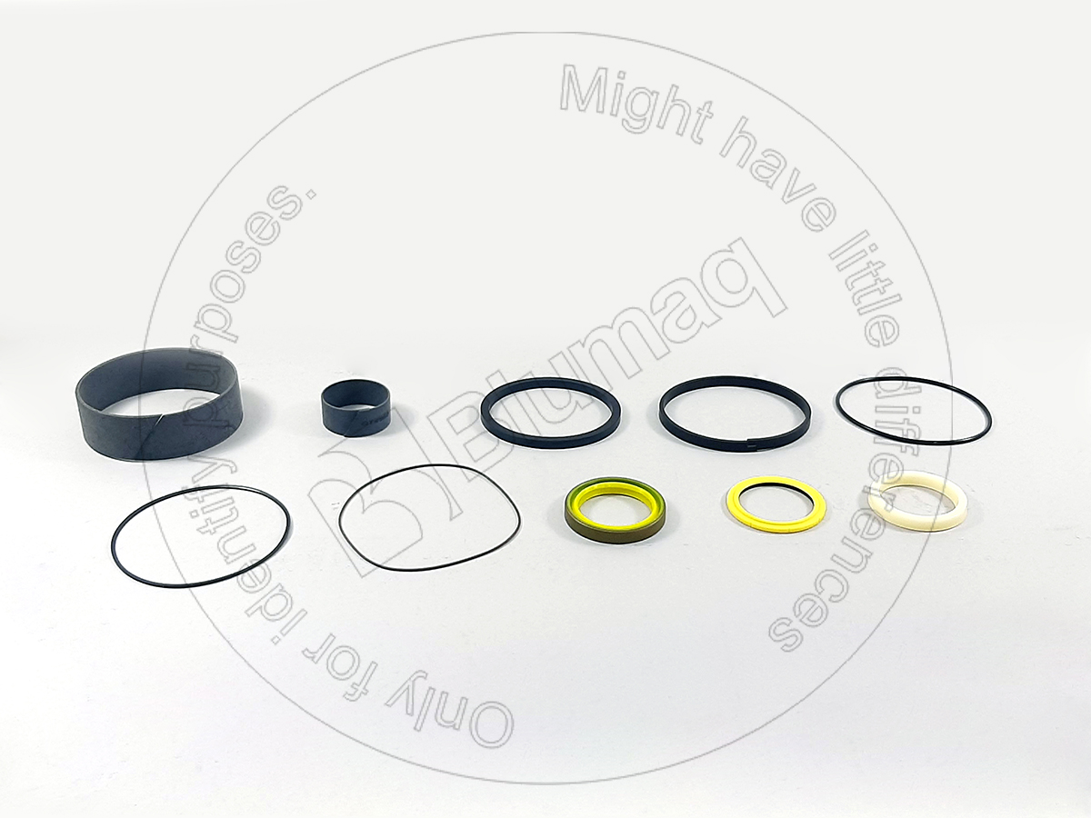 508120 BLUMAQ Hydraulic Seal Kit