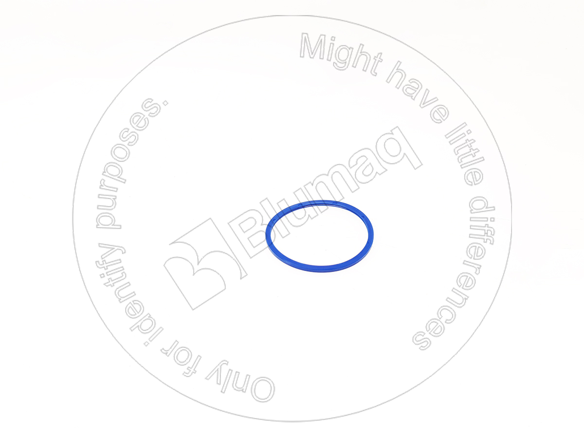 703-09-95312 Seal for BLUMAQ