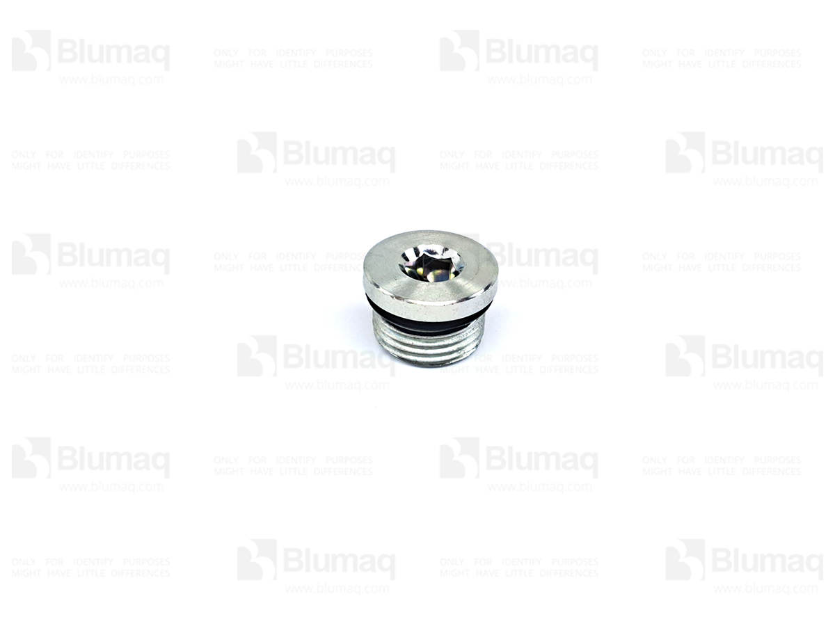 BE221367 Plug