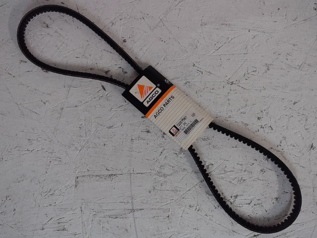 72257587 AGCO Belt