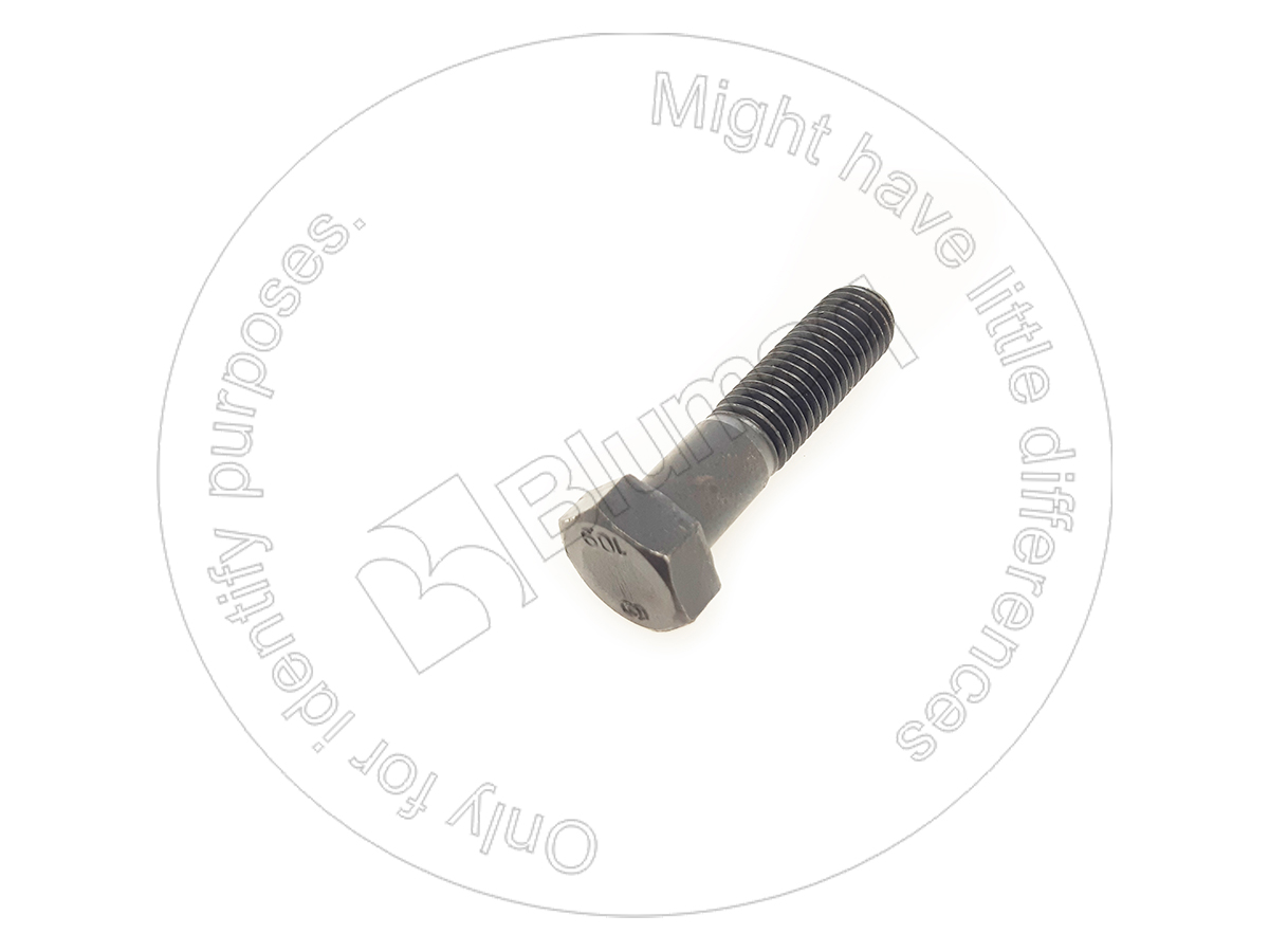 01010-61875 Bolt