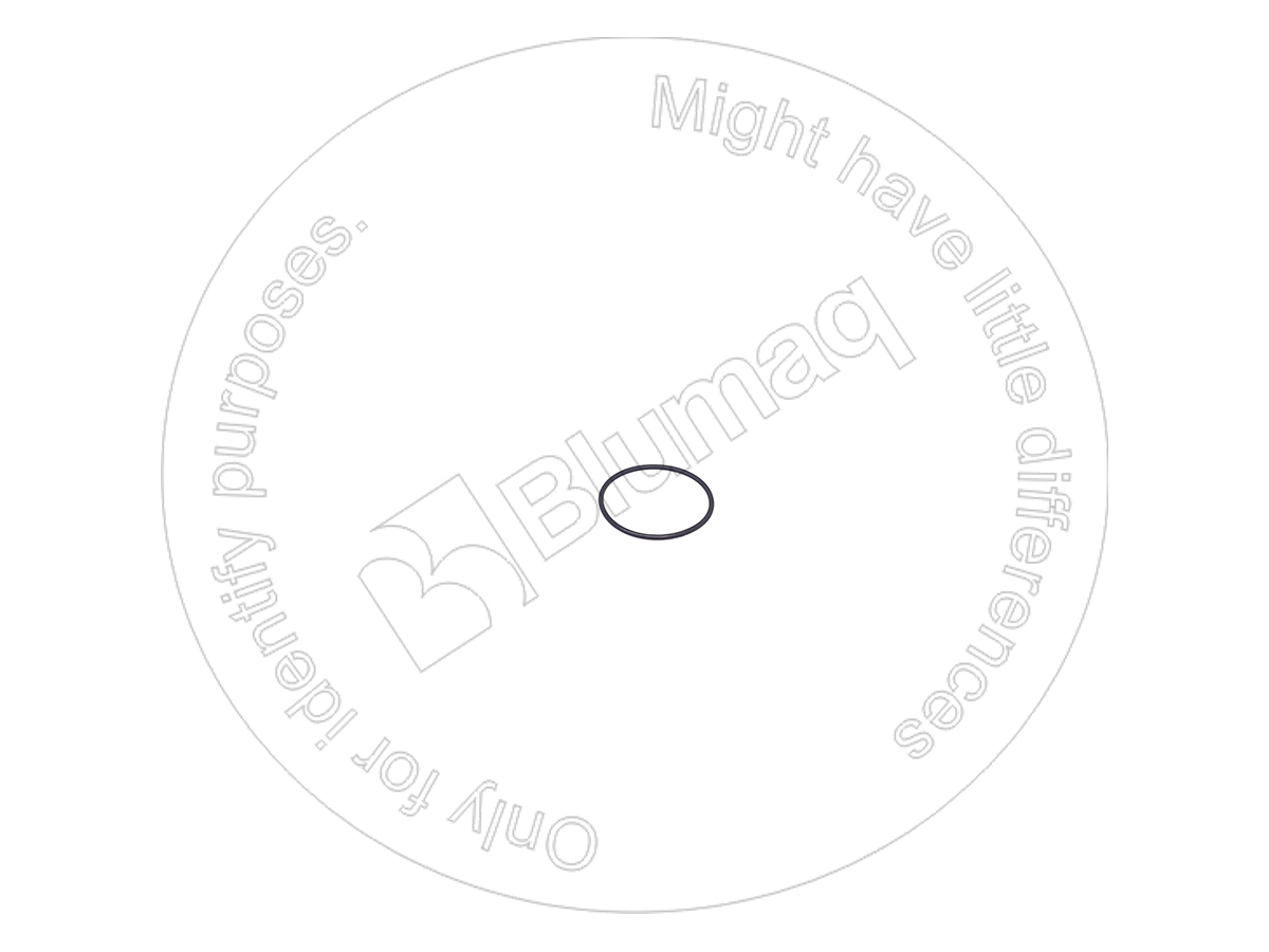 225-6948 Seal O-ring for BLUMAQ