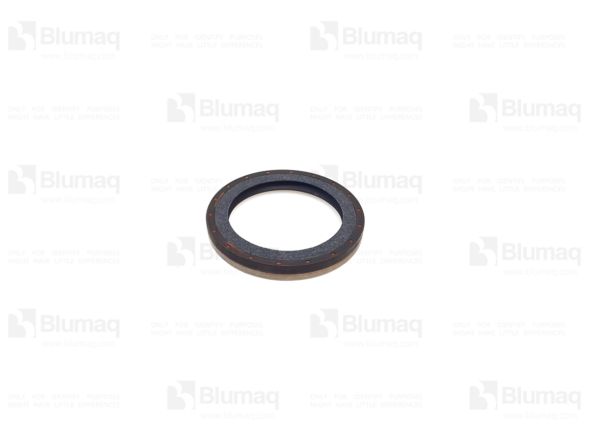 031.297 Seal for BLUMAQ