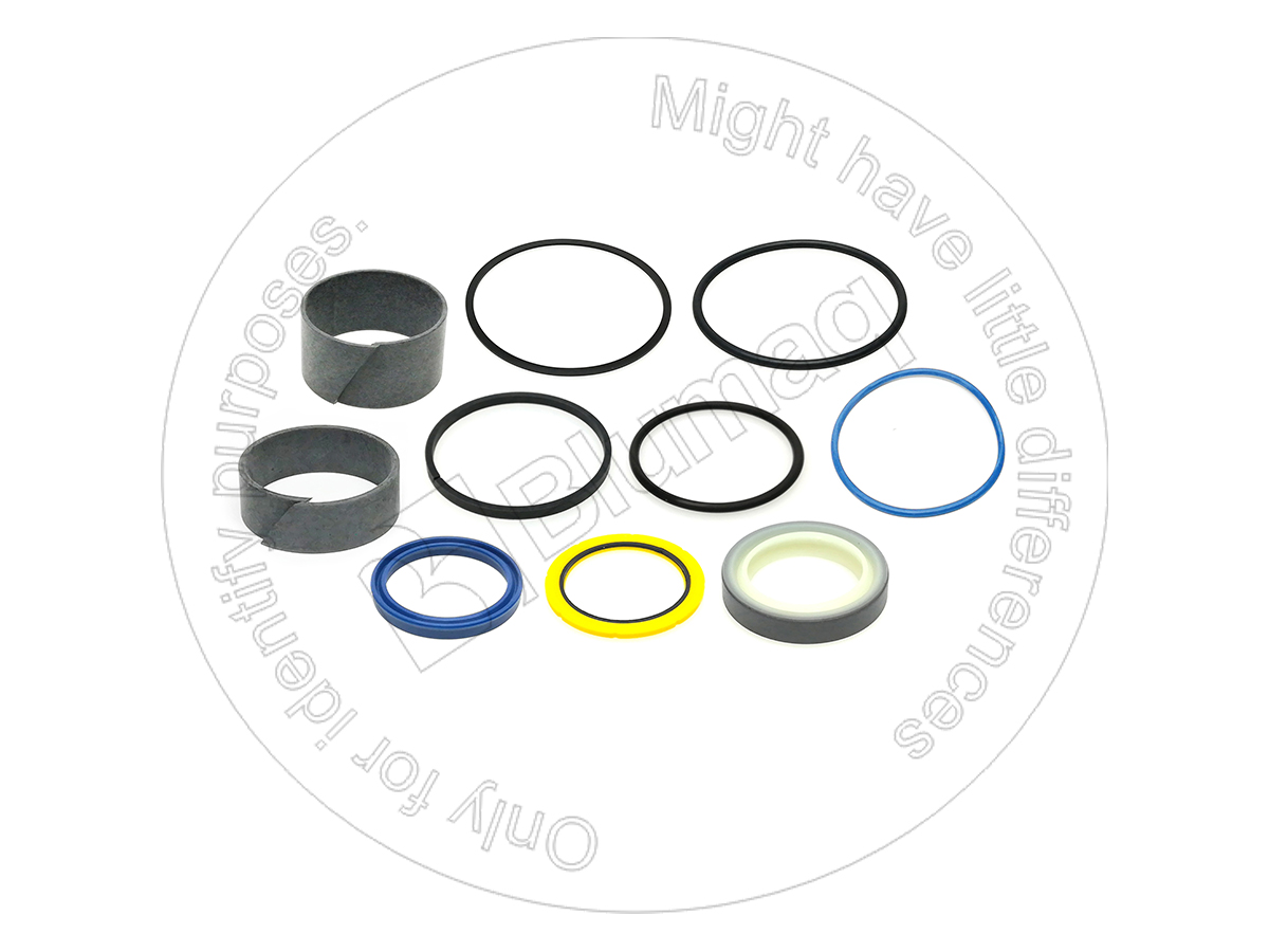 376-9017 Boom Swing Seal Kit for BLUMAQ