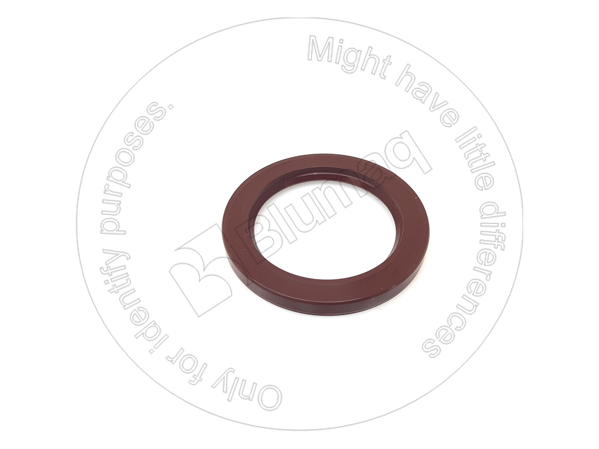 CS84363862 Ring for CASE