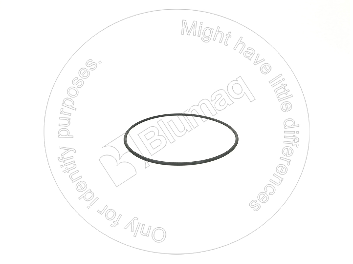 VOCH12A-370 Seal O-ring for BLUMAQ