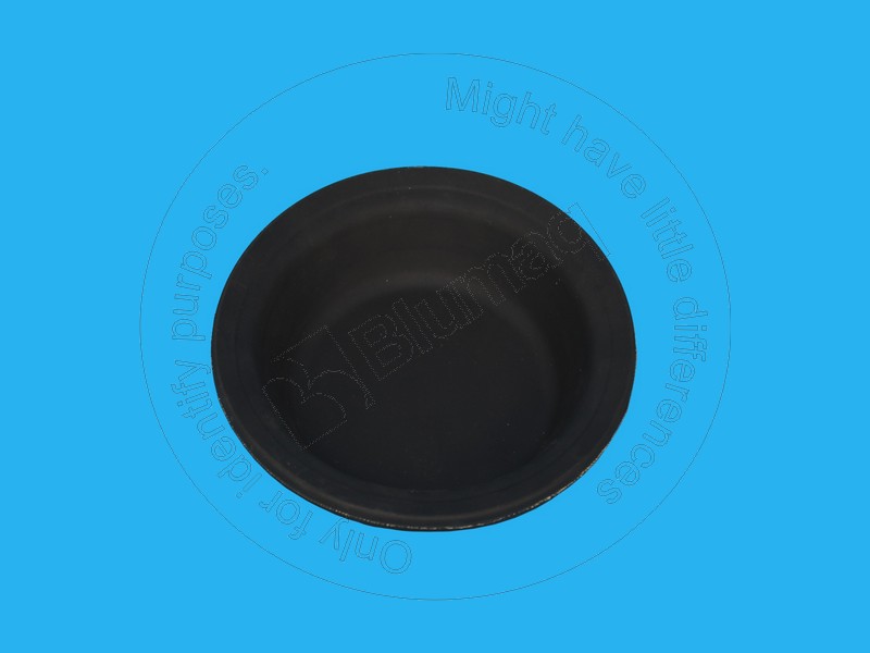 5K-5941 Membrane for BLUMAQ