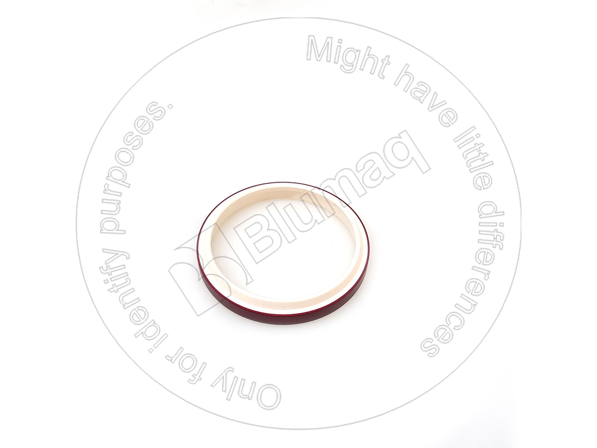 CRPA60X70X7X10 Wiper Seal for BLUMAQ
