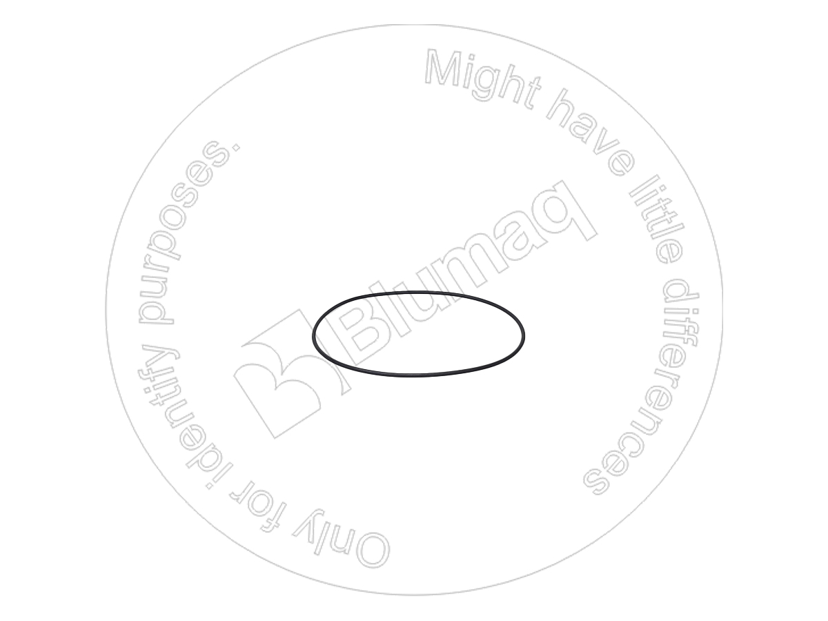 VOSA9511-22140 Seal O-ring for BLUMAQ