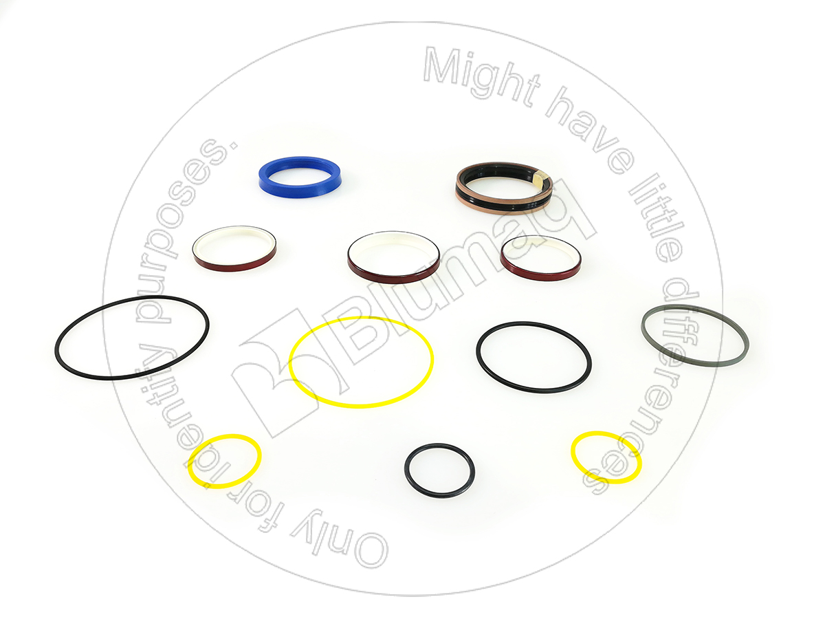 900.02237 Hydraulic Seal Kit for BLUMAQ
