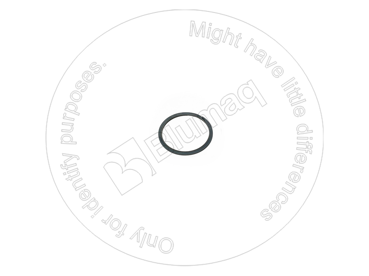 9H-5604 Ring for BLUMAQ