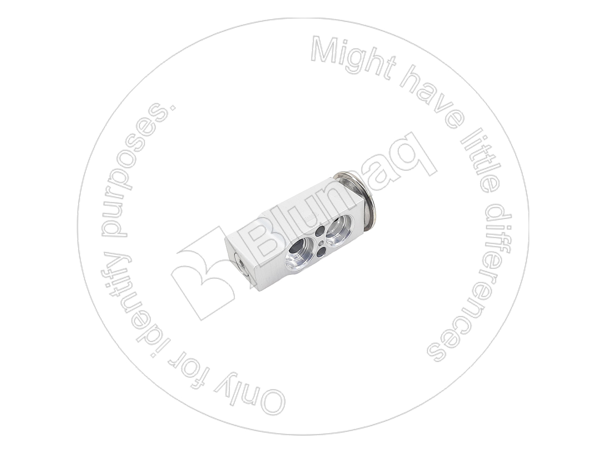 130-0263 Valve for BLUMAQ