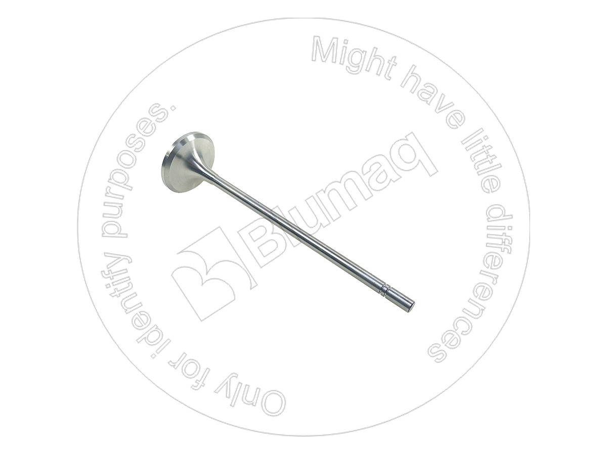 1W-1818 Intake Valve for BLUMAQ