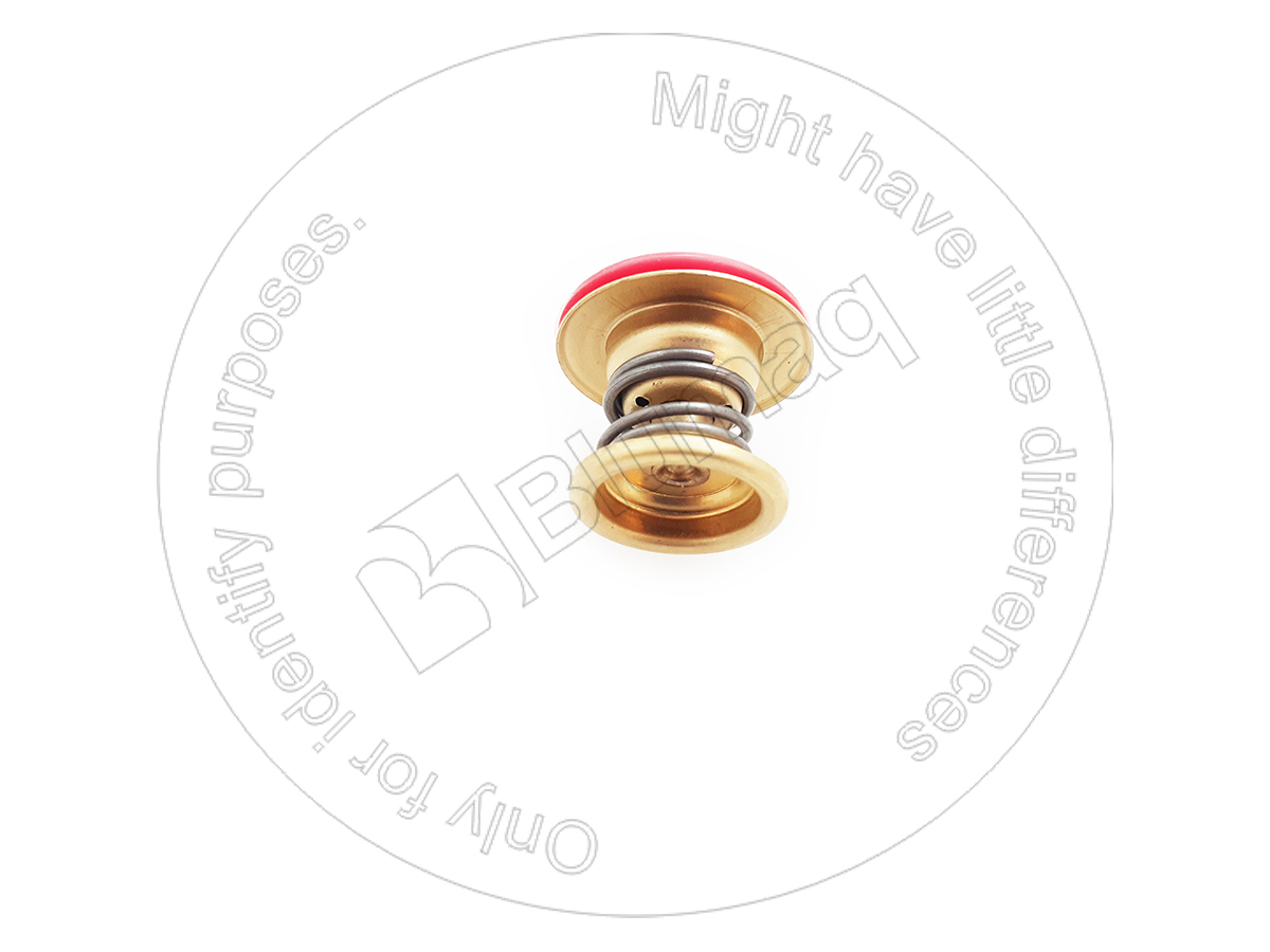 383-1577 Valve for BLUMAQ