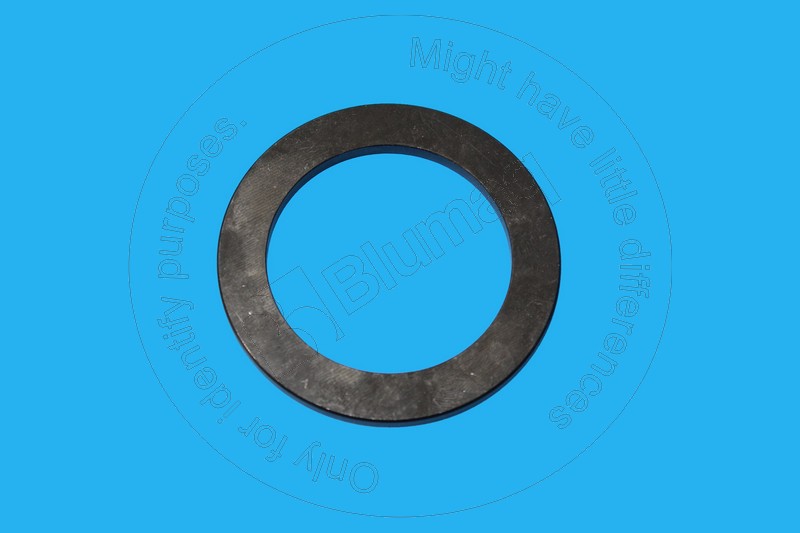 121-2500 Washer for BLUMAQ