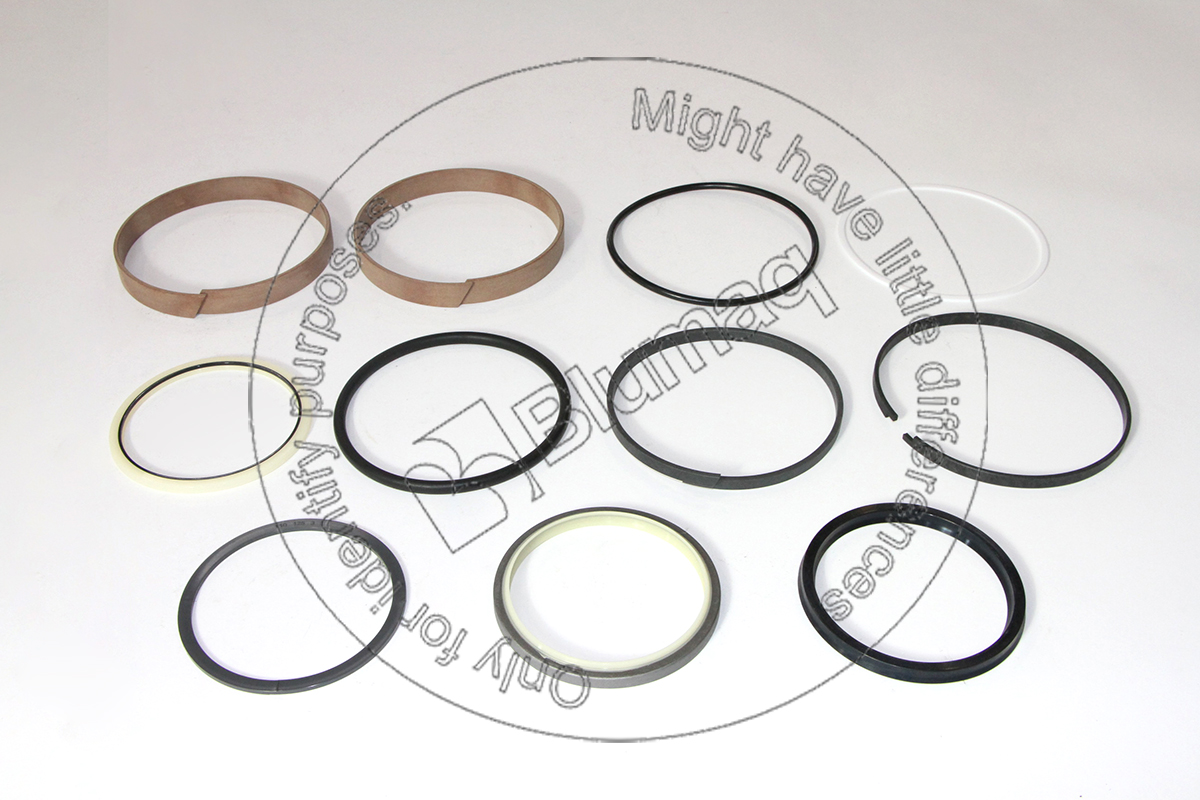518-5136 Seal Kit for BLUMAQ