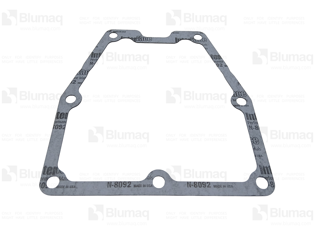 497-3911 Paper Gasket for BLUMAQ