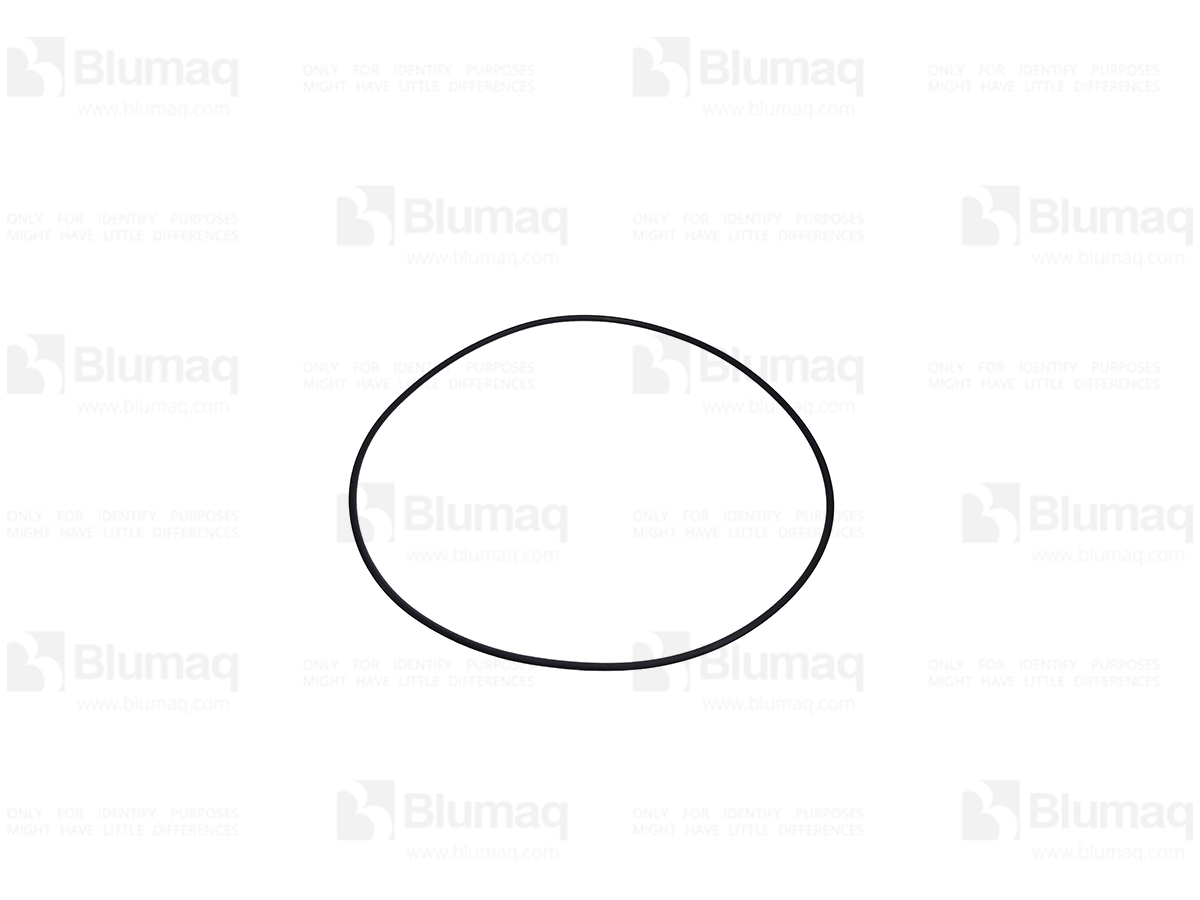 186-3075 Seal O-ring for BLUMAQ