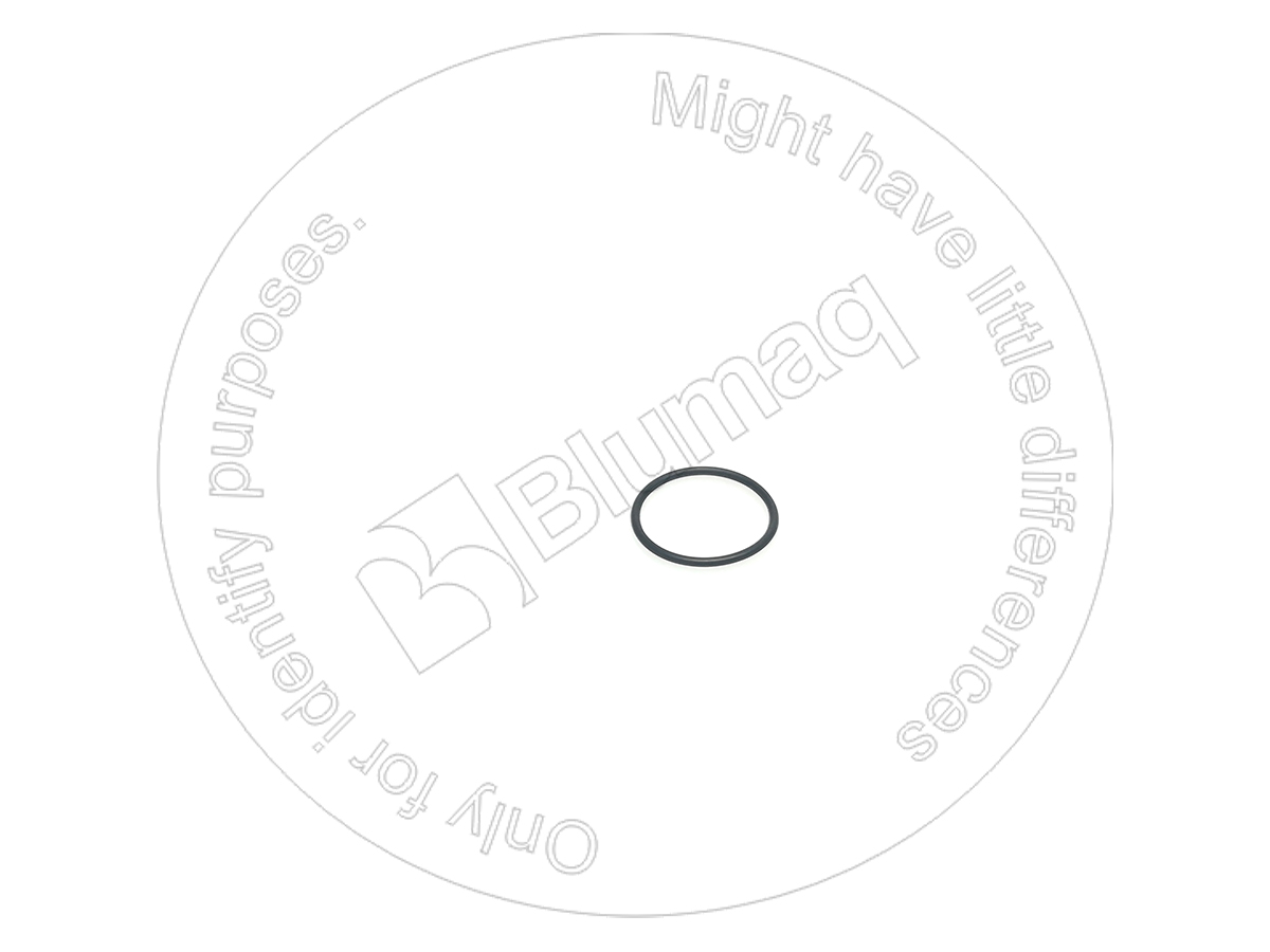 CS238-5127 Seal O-ring for BLUMAQ