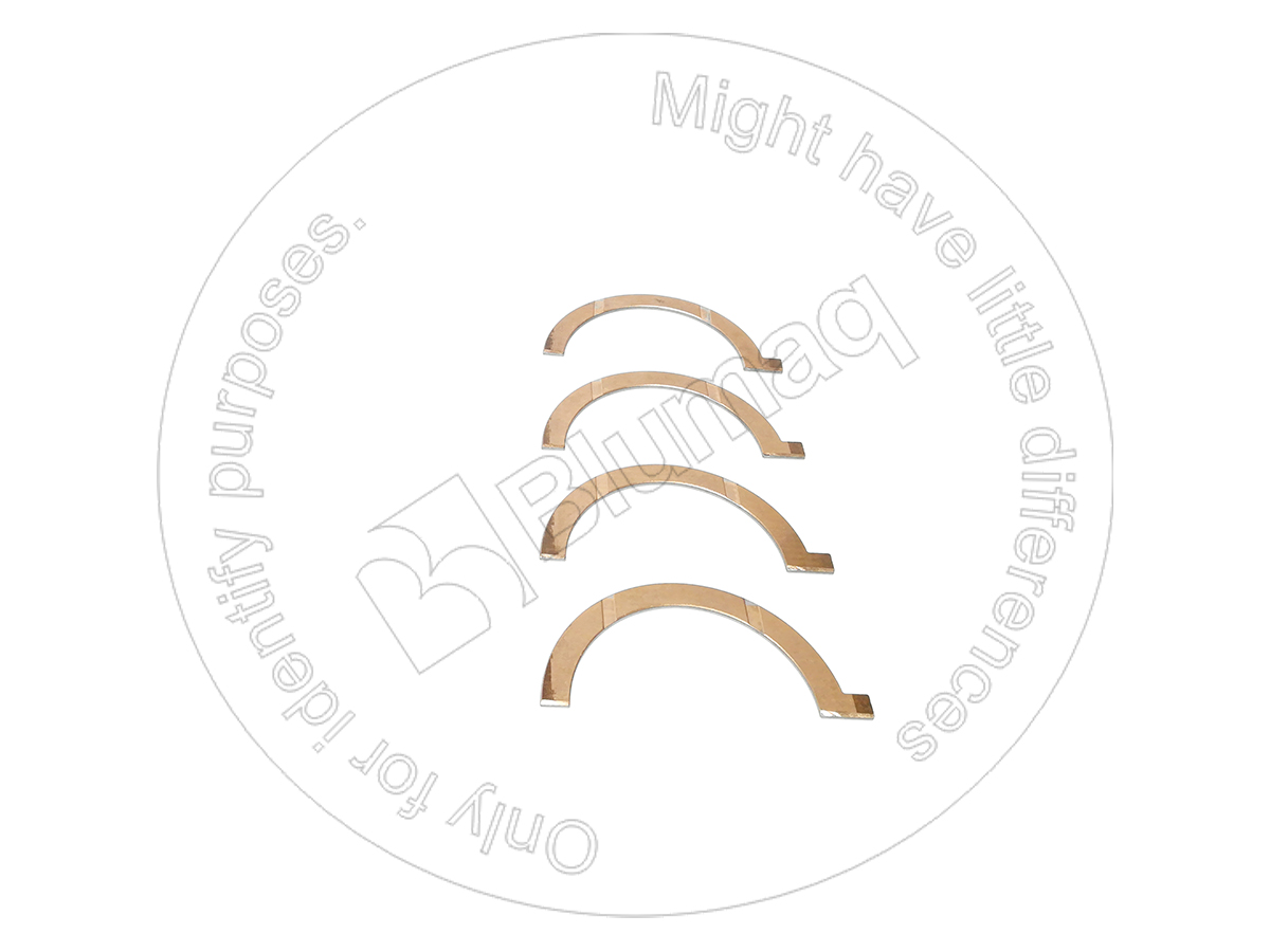 78933800 BLUMAQ Thrust Bearing Set Std.
