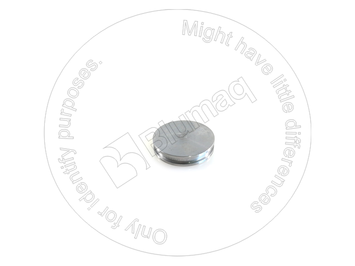 100-7399 Plug for BLUMAQ