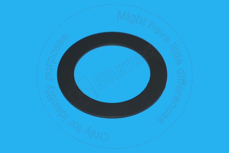 455-0725 Washer