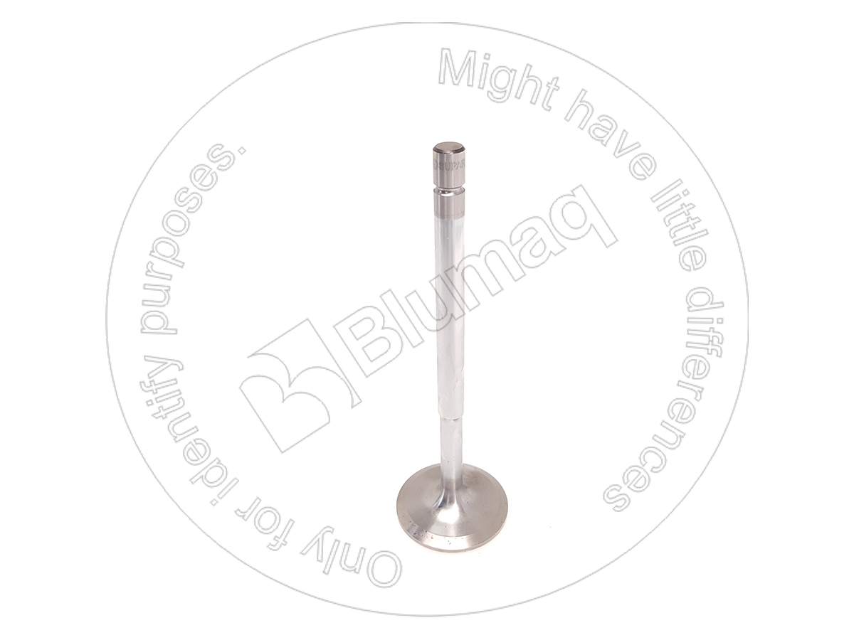 VOP8194223 Intake Valve for VOLVO