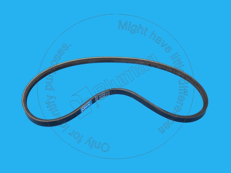 CS320344A1 Belt