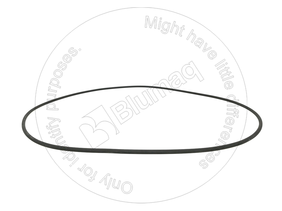 5P-2587 Seal O-ring for BLUMAQ