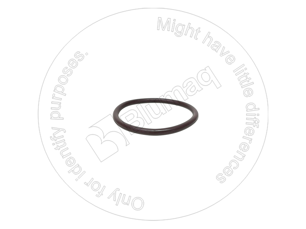 900.01829 Seal O-ring for BLUMAQ
