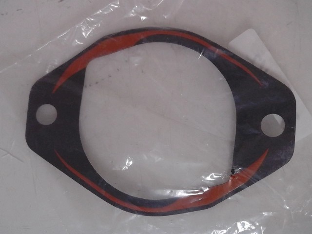 3916042 Gasket