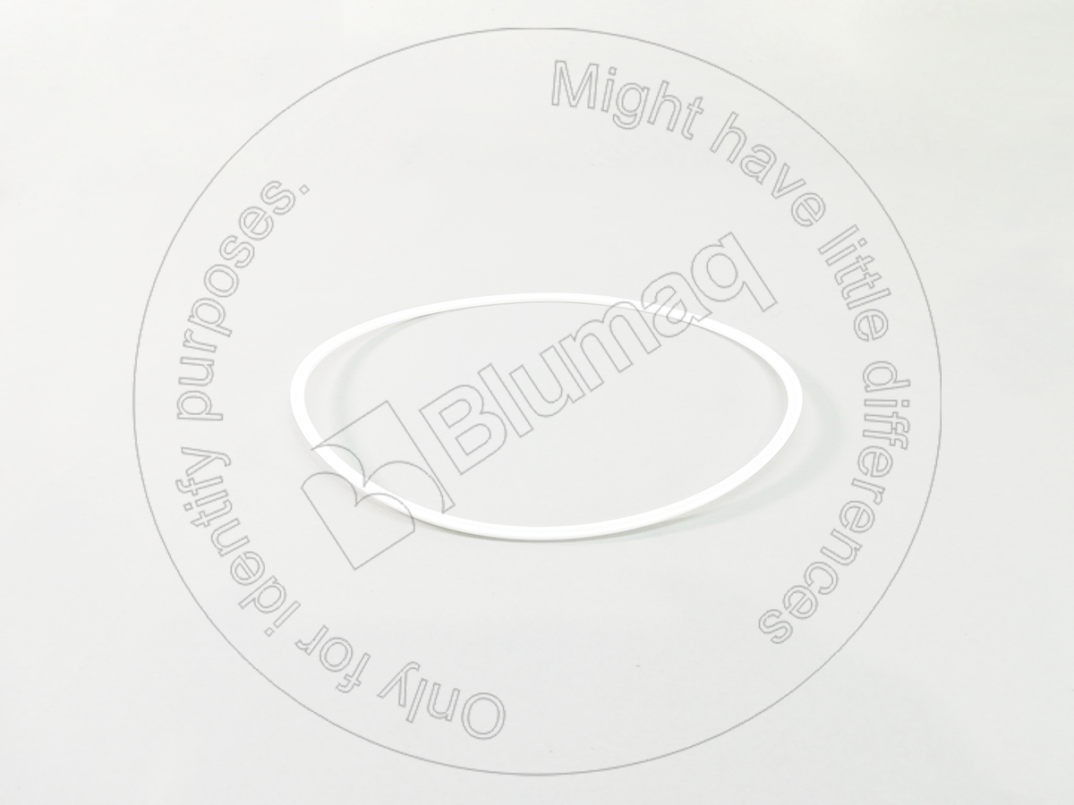 8D-9738 Seal for BLUMAQ