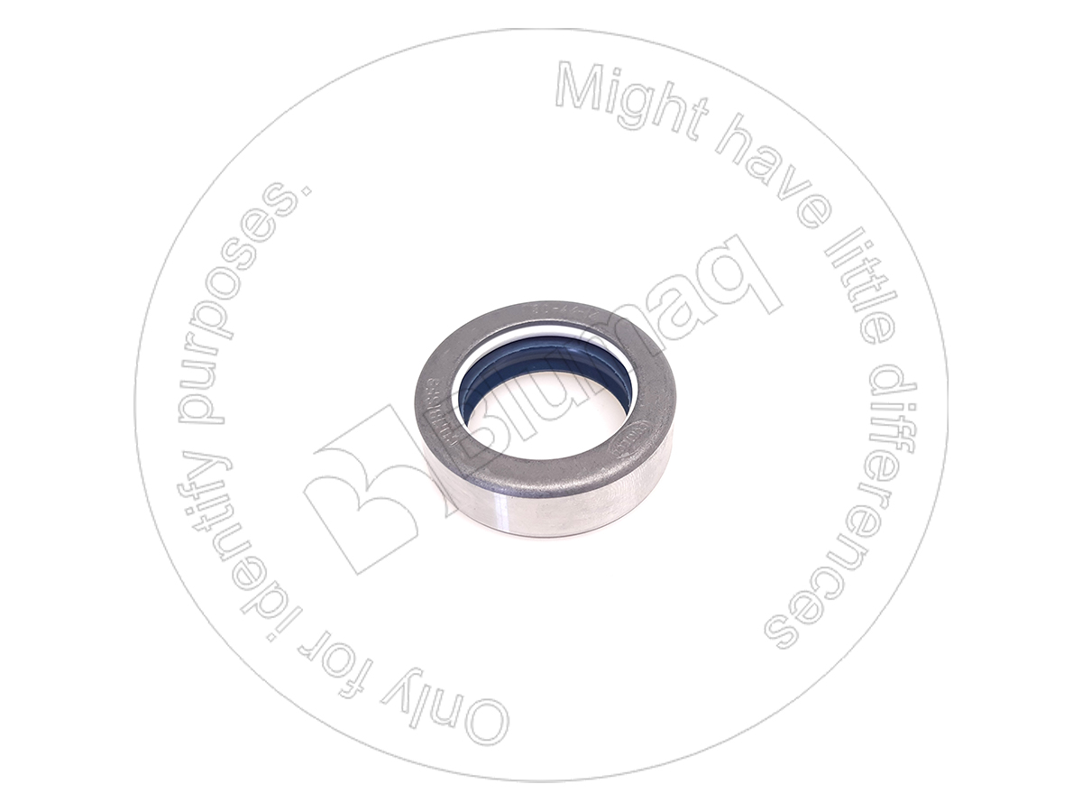 CS5194162 CASE Seal