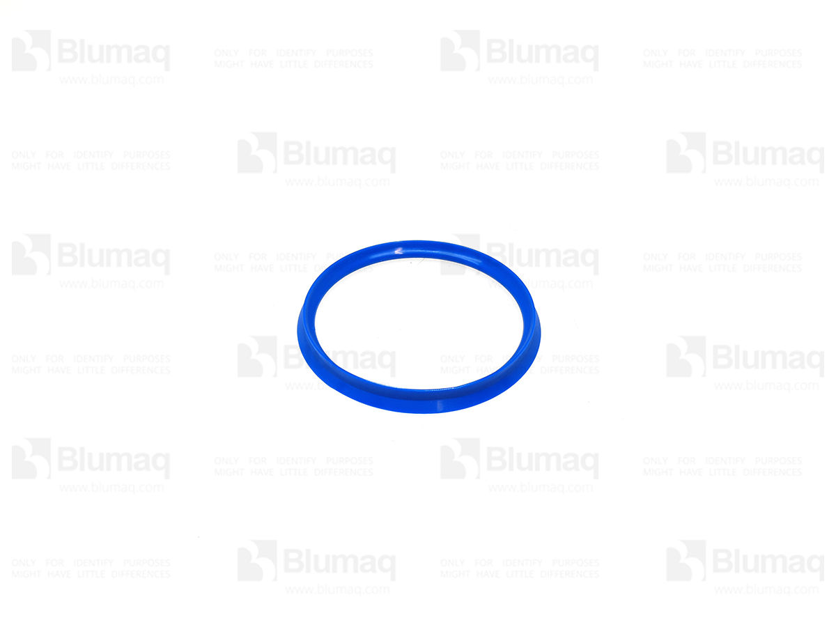 900.01756 Seal for BLUMAQ