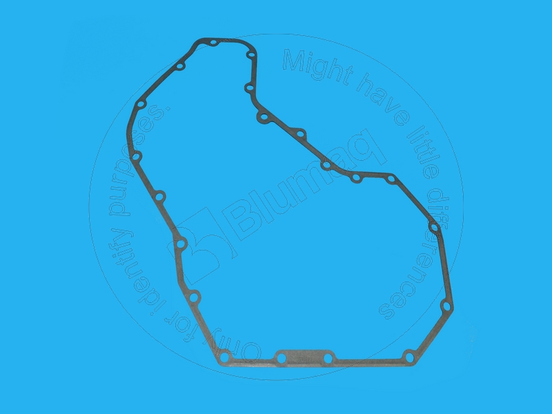 CSJ918673 Gasket