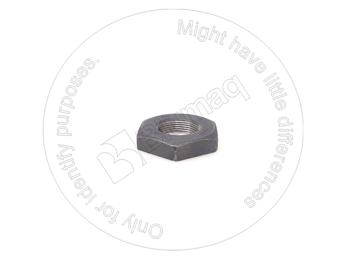 0060155 Nut for BLUMAQ
