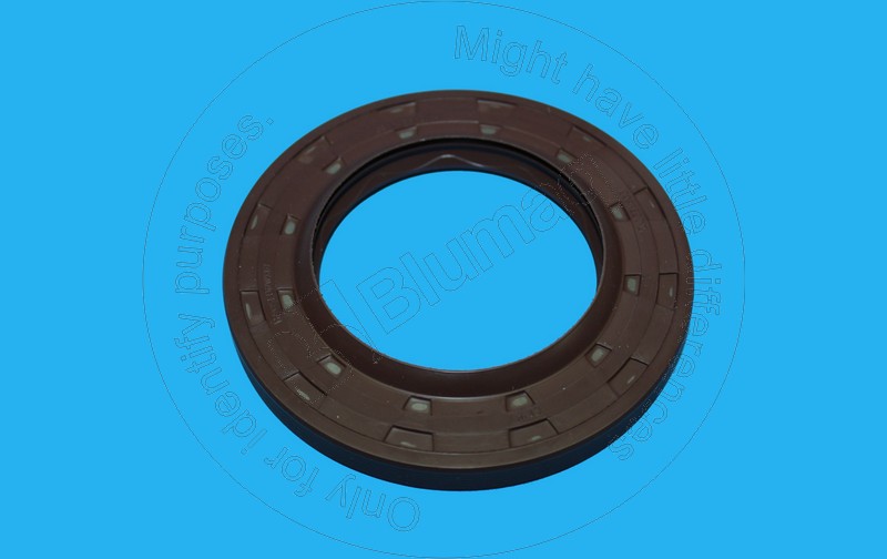 CS86027172 Seal