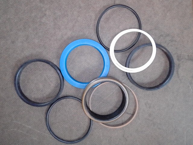 1609031M91 Seal Kit for AGCO