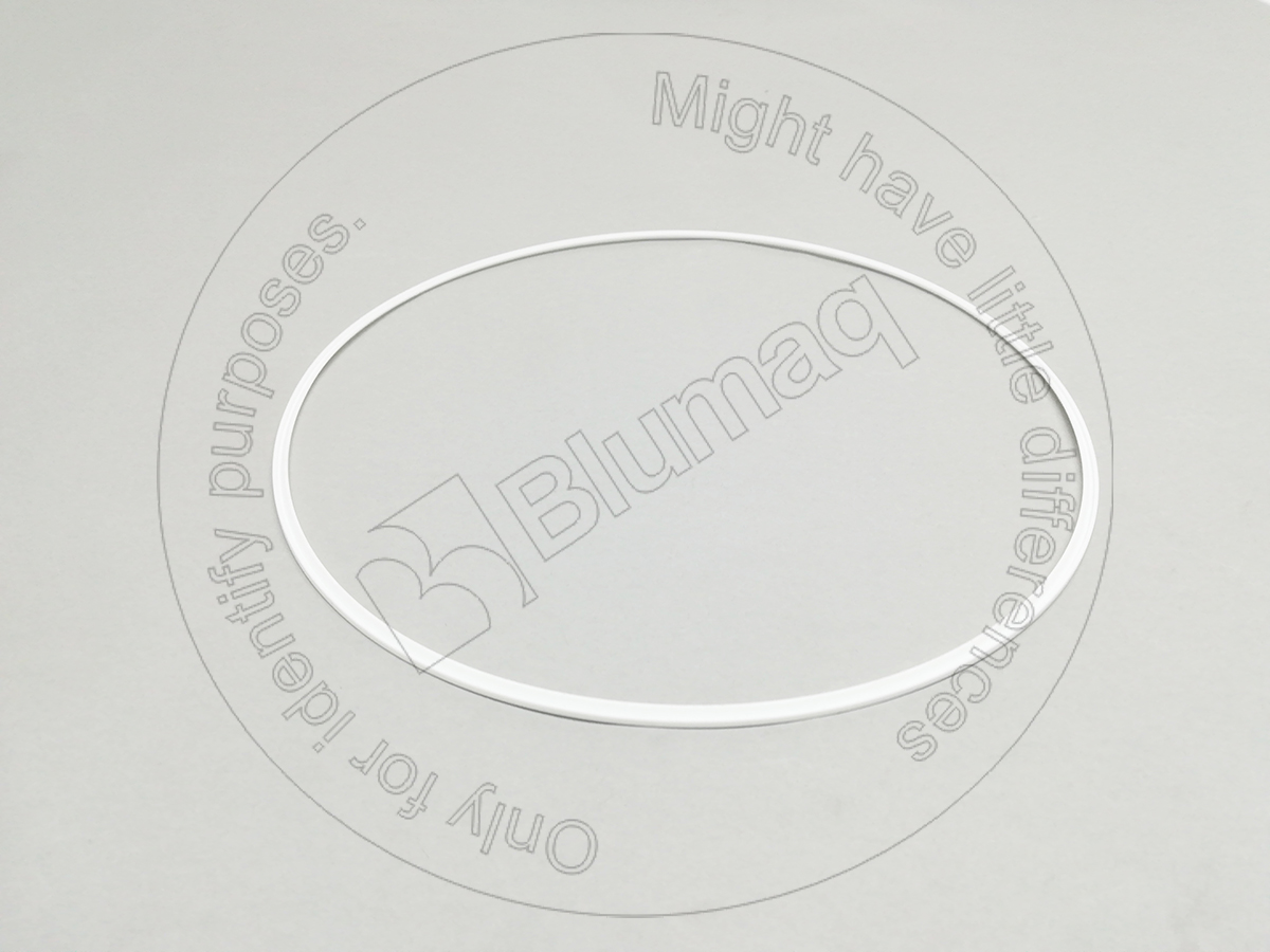 8P-2019 Seal Ring for BLUMAQ
