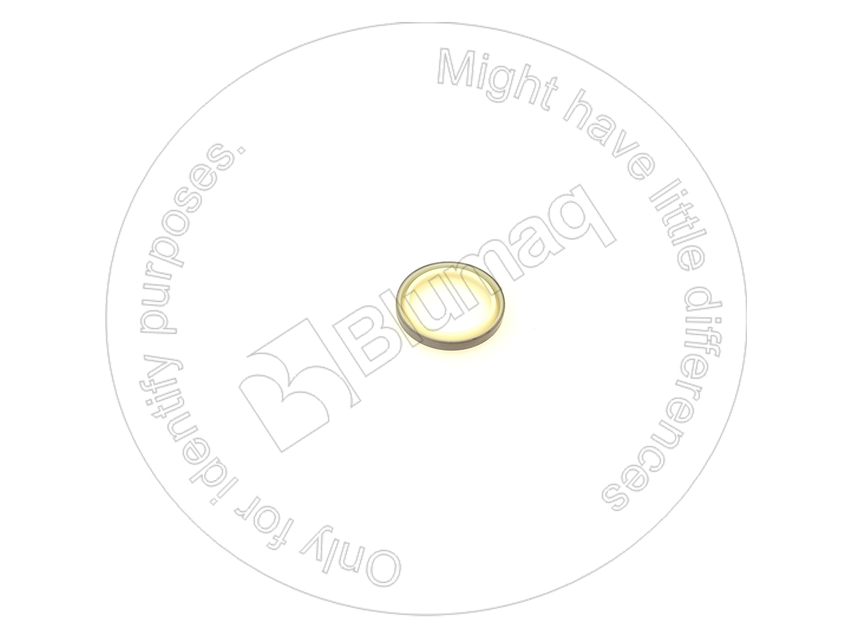 07016-20407 Dust Seal