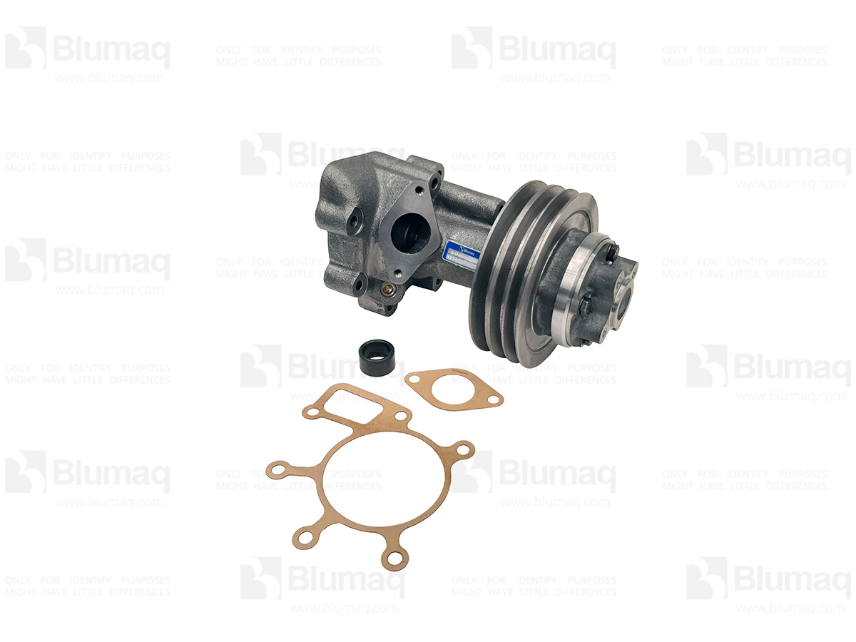 900.03065 Water Pump for BLUMAQ