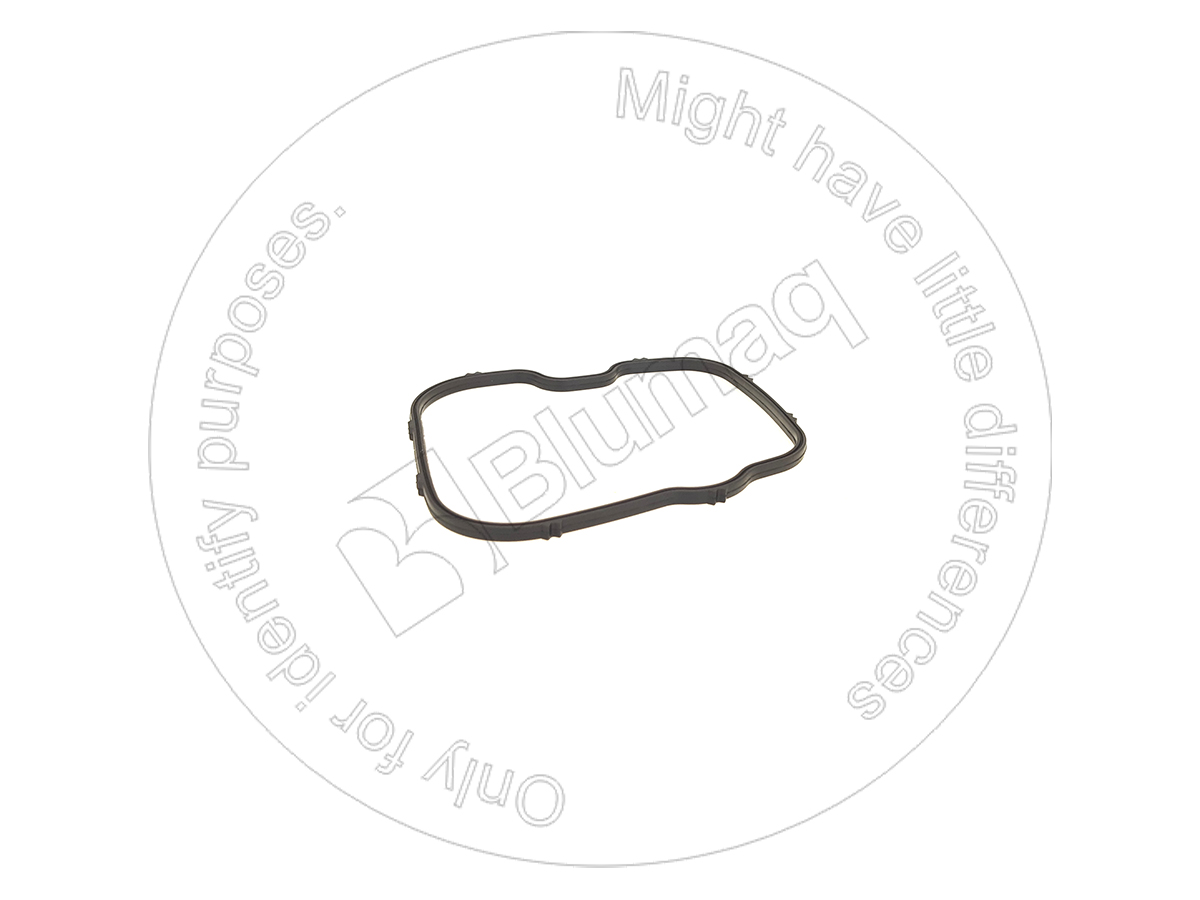 VO468352 Gasket for BLUMAQ
