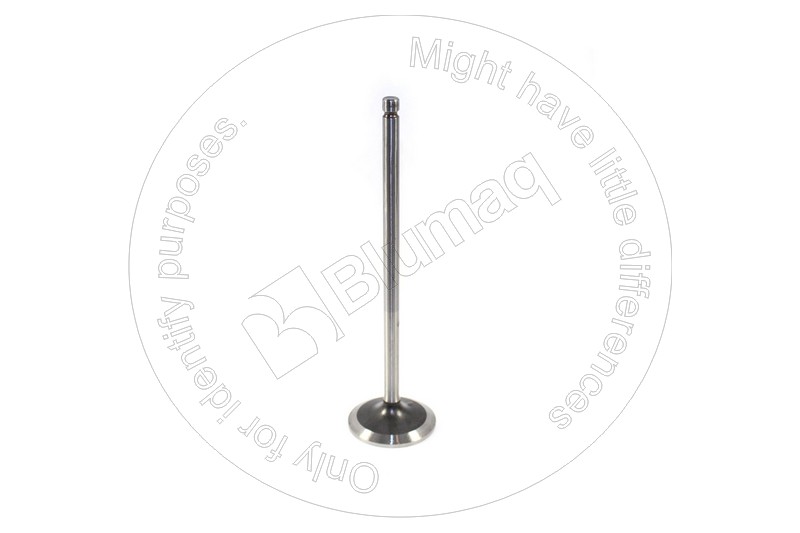 384-8705 Intake Valve