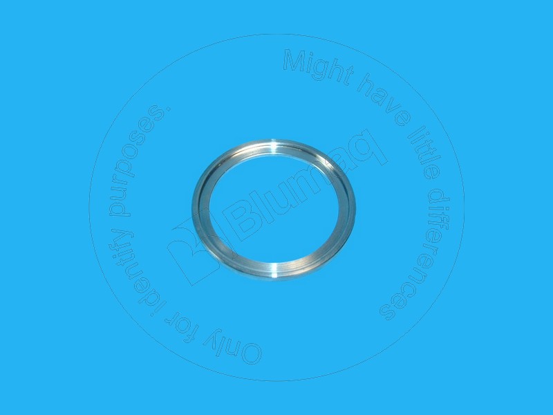 DG354.14.139.01 Ring for BLUMAQ