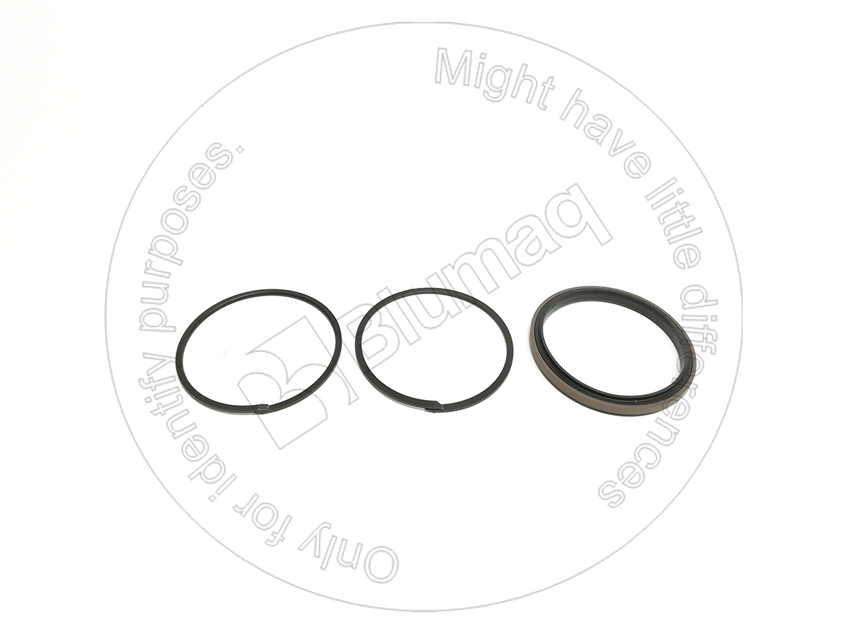 096-8137 Piston Seal for BLUMAQ