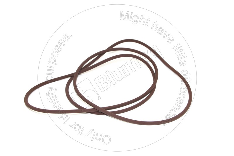 6V-5043 Seal O-ring for BLUMAQ