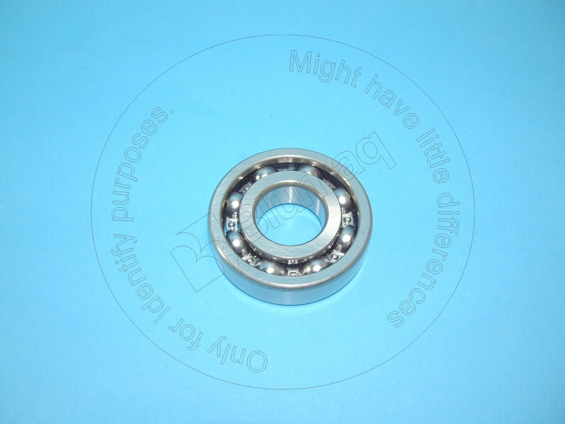 650720 BLUMAQ Bearing