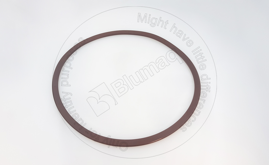 155-5161 Seal for BLUMAQ